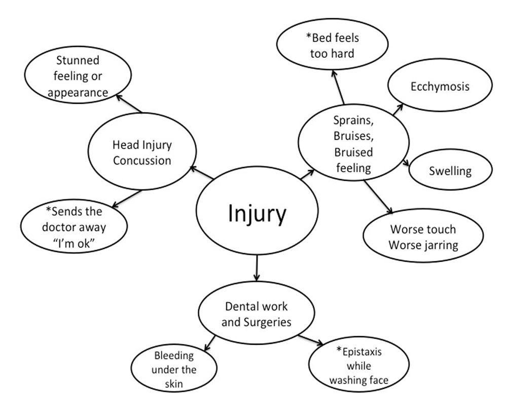 Arnica circle graph chart