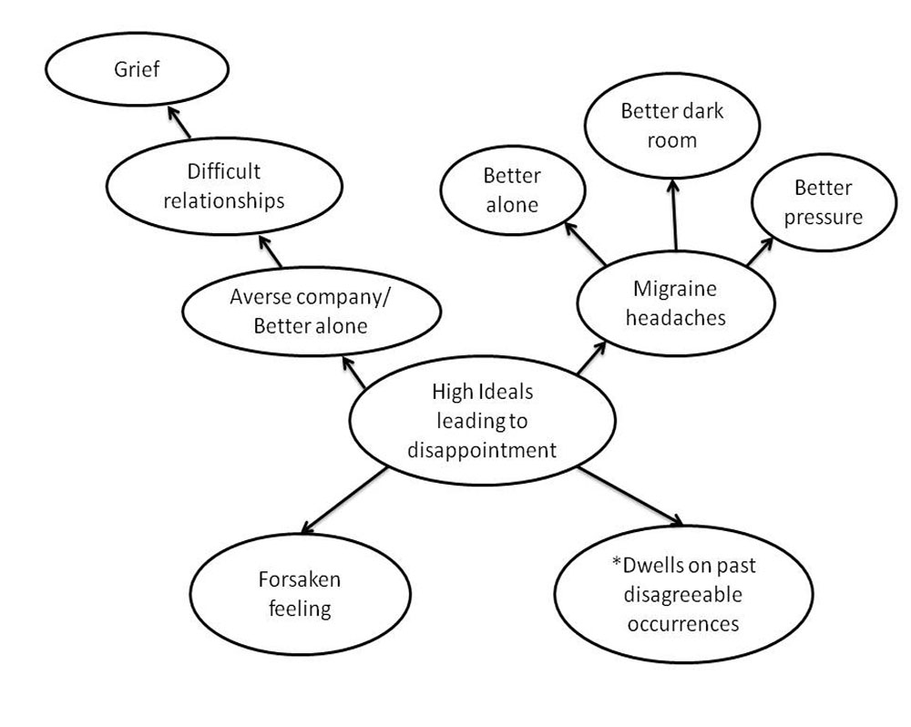 Natrum muriaticum circle graph chart